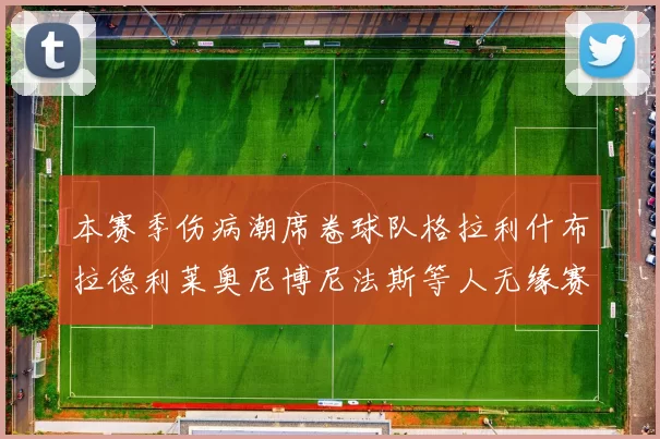 本赛季伤病潮席卷球队格拉利什布拉德利莱奥尼博尼法斯等人无缘赛季余下比赛