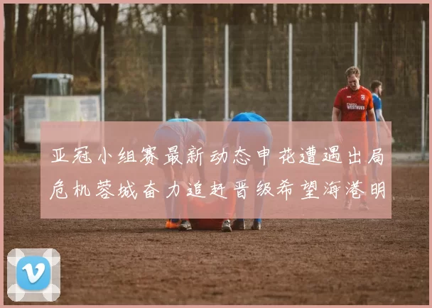 亚冠小组赛最新动态申花遭遇出局危机蓉城奋力追赶晋级希望海港明日迎战挑战
